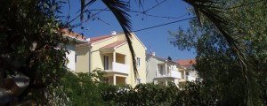 Zdrelac19
